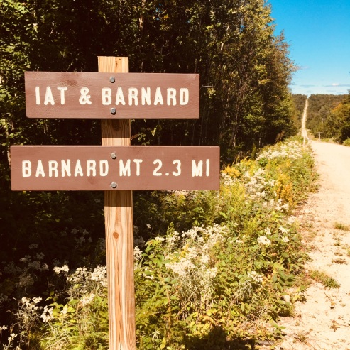 The IAT and trail to Barnard Mountain