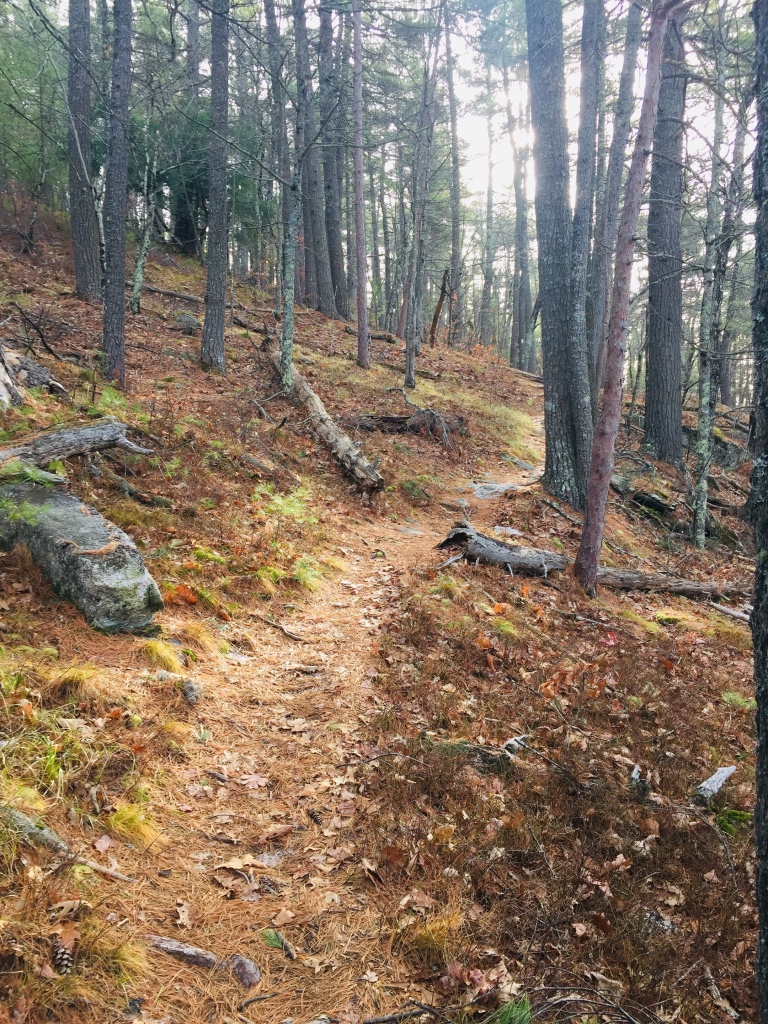 West Ridge Trail, Mount Tom Preserve, Fryeburg, Maine.
