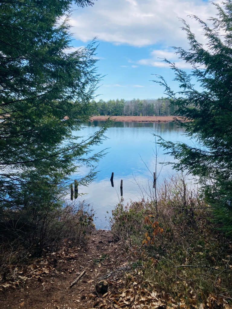 Knight’s Pond Preserve – Hiking in Maine